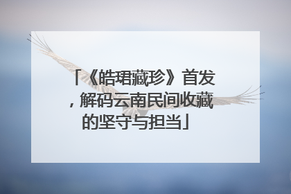 《皓珺藏珍》首发，解码云南民间收藏的坚守与担当