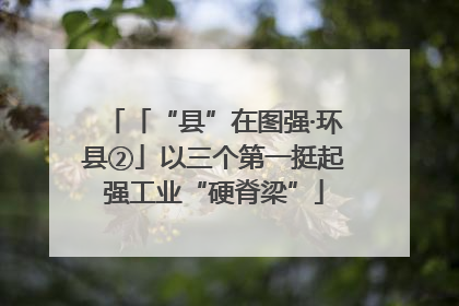 「“县”在图强·环县②」以三个第一挺起强工业“硬脊梁”