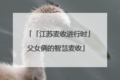 「江苏麦收进行时」父女俩的智慧麦收