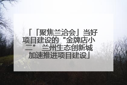 「聚焦兰洽会」当好项目建设的“金牌店小二” 兰州生态创新城加速推进项目建设