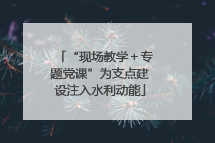 “现场教学＋专题党课”为支点建设注入水利动能