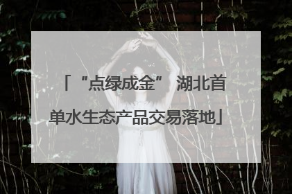 “点绿成金” 湖北首单水生态产品交易落地