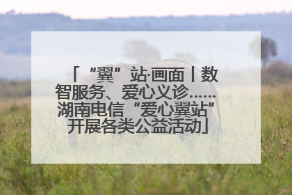 “翼”站·画面丨数智服务、爱心义诊……湖南电信“爱心翼站” 开展各类公益活动