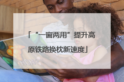 “一窗两用”提升高原铁路换枕新速度