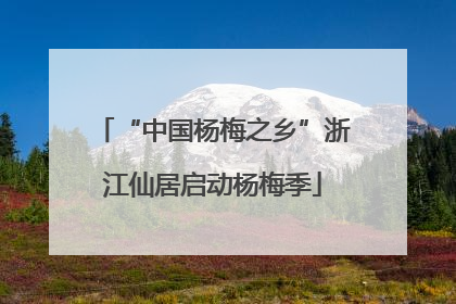 “中国杨梅之乡”浙江仙居启动杨梅季