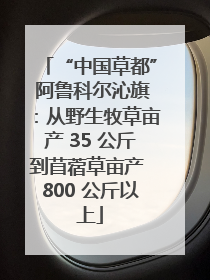 “中国草都” 阿鲁科尔沁旗：从野生牧草亩产 35 公斤到苜蓿草亩产 800 公斤以上
