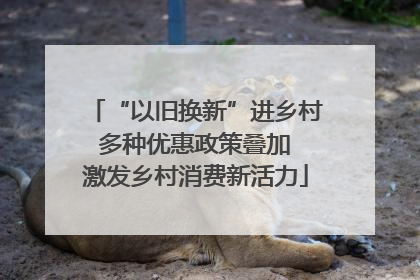 “以旧换新”进乡村 多种优惠政策叠加 激发乡村消费新活力