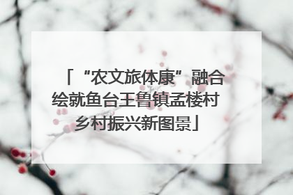 “农文旅体康”融合绘就鱼台王鲁镇孟楼村乡村振兴新图景