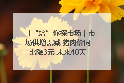 “培”你探市场｜市场供增需减 猪肉价同比降3元 未来40天便宜猪肉敞开吃