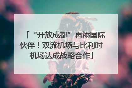 “开放成都”再添国际伙伴！双流机场与比利时机场达成战略合作