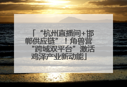 “杭州直播间+邯郸供应链”！角兽营“跨域双平台”激活鸡泽产业新动能