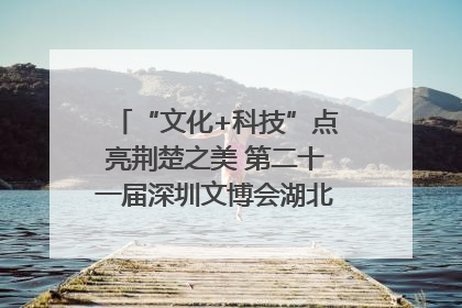 “文化+科技”点亮荆楚之美 第二十一届深圳文博会湖北馆抢“鲜”看