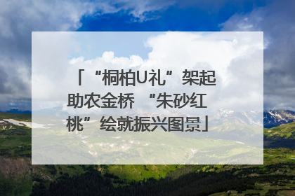 “桐柏U礼”架起助农金桥 “朱砂红桃”绘就振兴图景