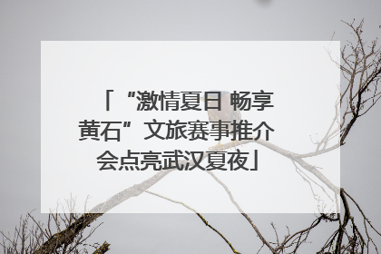 “激情夏日 畅享黄石”文旅赛事推介会点亮武汉夏夜