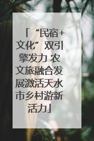 “民宿+文化”双引擎发力 农文旅融合发展激活天水市乡村游新活力
