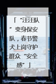 “汪汪队”变身保安队，春节警犬上岗守护群众“安全感”