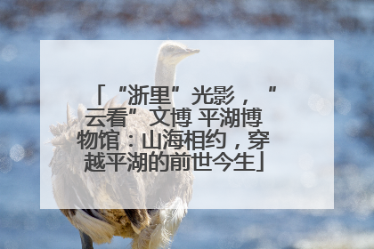 “浙里”光影，“云看”文博 平湖博物馆：山海相约，穿越平湖的前世今生