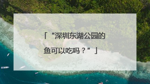 “深圳东湖公园的鱼可以吃吗？”