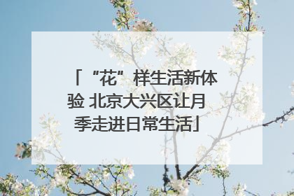 “花”样生活新体验 北京大兴区让月季走进日常生活