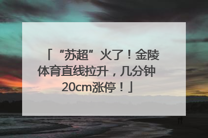 “苏超”火了！金陵体育直线拉升，几分钟20cm涨停！