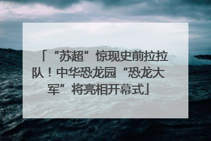 “苏超”惊现史前拉拉队！中华恐龙园“恐龙大军”将亮相开幕式