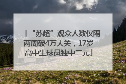 “苏超”观众人数仅隔两周破4万大关，17岁高中生球员独中二元