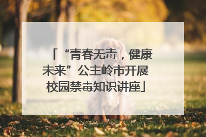 “青春无毒，健康未来”公主岭市开展校园禁毒知识讲座