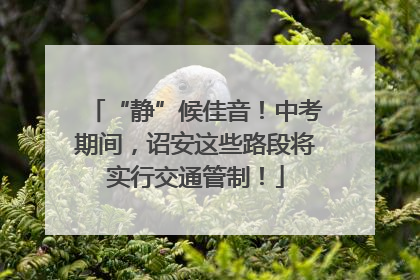 “静”候佳音！中考期间，诏安这些路段将实行交通管制！