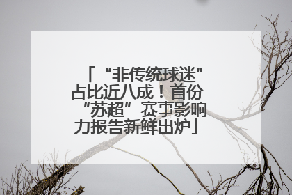 “非传统球迷”占比近八成！首份“苏超”赛事影响力报告新鲜出炉