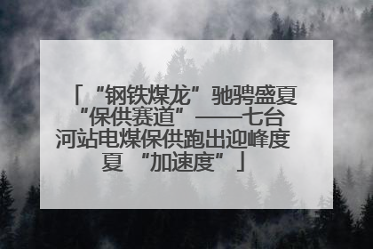 “钢铁煤龙”驰骋盛夏 “保供赛道”——七台河站电煤保供跑出迎峰度夏 “加速度”
