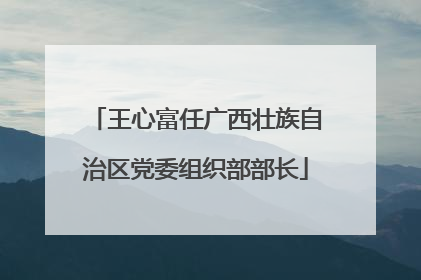 王心富任广西壮族自治区党委组织部部长