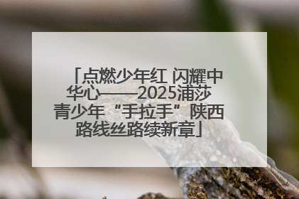 点燃少年红 闪耀中华心——2025浦莎青少年“手拉手”陕西路线丝路续新章