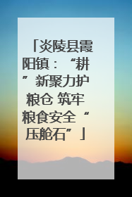 炎陵县霞阳镇：“耕”新聚力护粮仓 筑牢粮食安全“压舱石”
