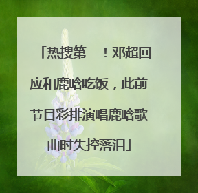 热搜第一！邓超回应和鹿晗吃饭，此前节目彩排演唱鹿晗歌曲时失控落泪