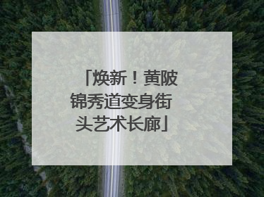 焕新！黄陂锦秀道变身街头艺术长廊