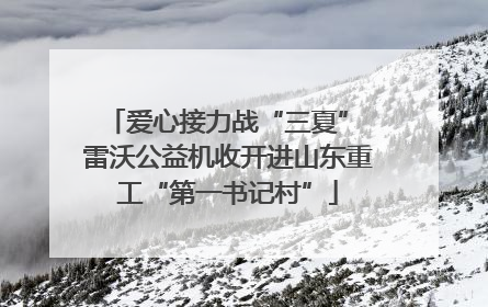 爱心接力战“三夏” 雷沃公益机收开进山东重工“第一书记村”