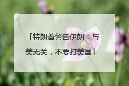 特朗普警告伊朗：与美无关，不要打美国