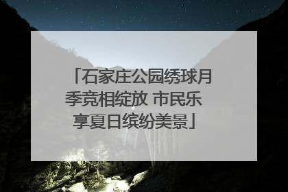 石家庄公园绣球月季竞相绽放 市民乐享夏日缤纷美景