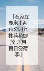石家庄鹿泉丨海山公园万株荷花绽放 开启夏日赏荷季