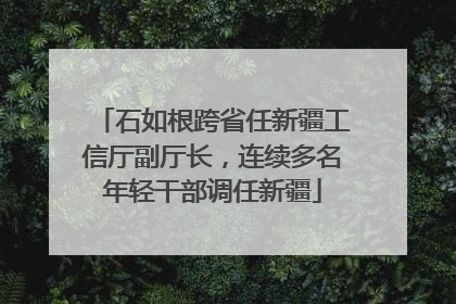 石如根跨省任新疆工信厅副厅长，连续多名年轻干部调任新疆