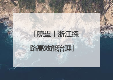 瞭望丨浙江探路高效能治理