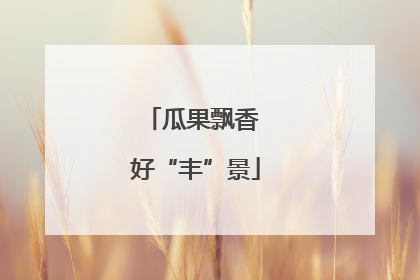 瓜果飘香 好“丰”景