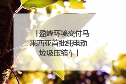盈峰环境交付马来西亚首批纯电动垃圾压缩车