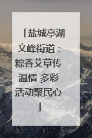 盐城亭湖文峰街道：粽香艾草传温情 多彩活动聚民心