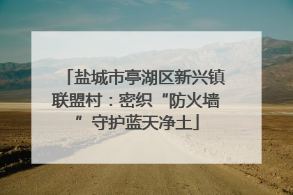 盐城市亭湖区新兴镇联盟村：密织“防火墙”守护蓝天净土