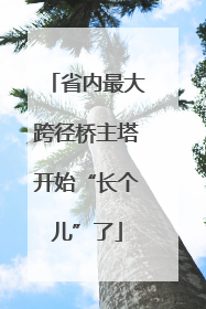 省内最大跨径桥主塔开始“长个儿”了