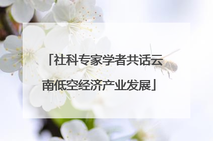 社科专家学者共话云南低空经济产业发展