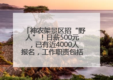 神农架景区招“野人”！日薪500元，已有近4000人报名，工作职责包括“接受游客投喂”