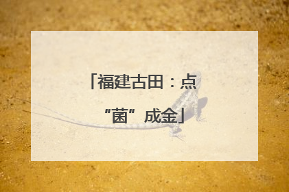 福建古田：点“菌”成金