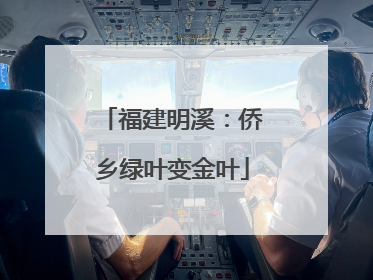 福建明溪：侨乡绿叶变金叶